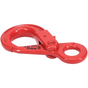 PEWAG 7,100 Lb Capacity, Chain Grade 80, Alloy Steel Eye Hook 40020