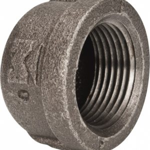 B&K MUELLER Black End Cap: 1", Threaded 521-405HN