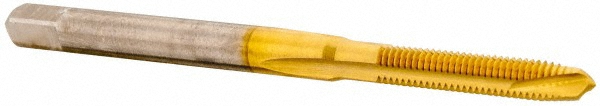 Main Thumb