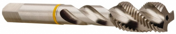 Main Thumb