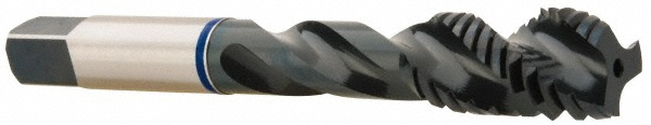 Main Thumb