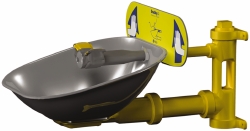 BRADLEY Wall Mount, Plastic Bowl, Eye & Face Wash Station S19224FW