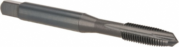 Main Thumb