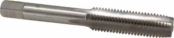 Main Thumb