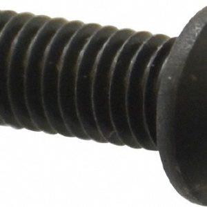HOLO-KROME M6x1.00 16mm Length Under Head Hex Socket Drive Button Socket Cap Screw 86031