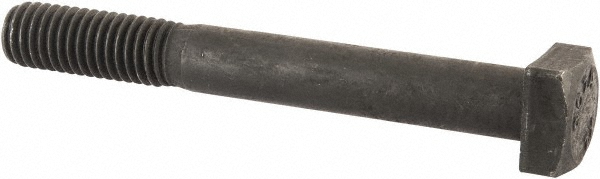 Main Thumb