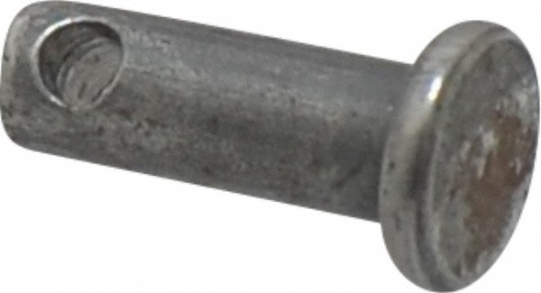 Main Thumb
