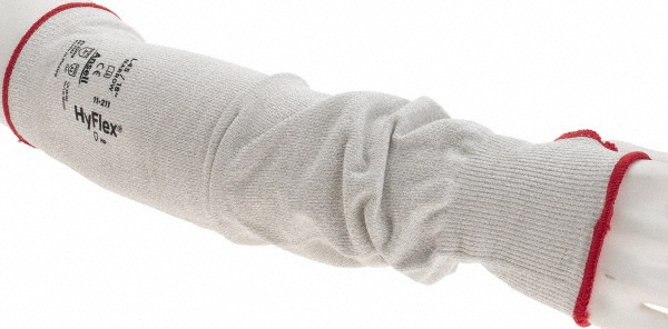 Main Thumb