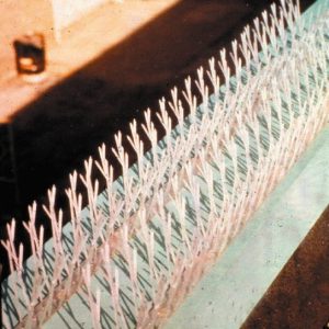 BIRD-X Plastic Bird Spikes SP-50 MSC