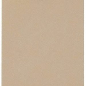 ACCUFORMNMC Blank Tag: Rectangle, Synthetic Paper, "Blank" BPT3