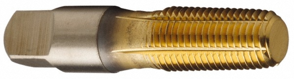 Main Thumb
