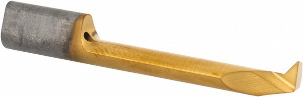 Main Thumb