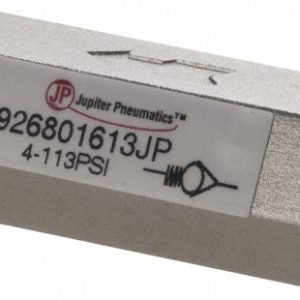 PRO-SOURCE Check Valve: 1/8" Pipe 4926801613PRO