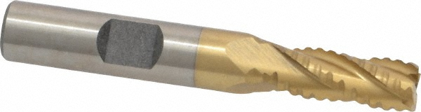 Main Thumb