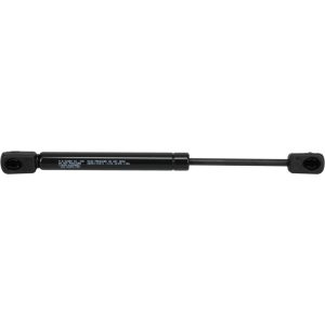 GUDEN Gas Spring: 0.24" Rod Dia, 0.59" Tube Dia, 30 lb Capacity GGN43-030-C