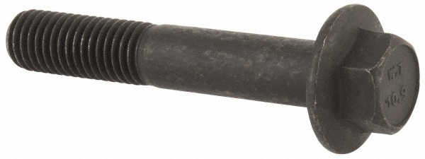 Main Thumb