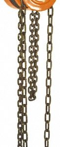 CM Manual Hand Chain Hoist: 2000 lb Capacity, 20' Max Lift 2262A