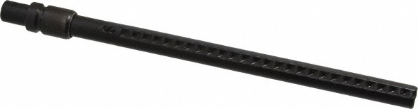 Main Thumb