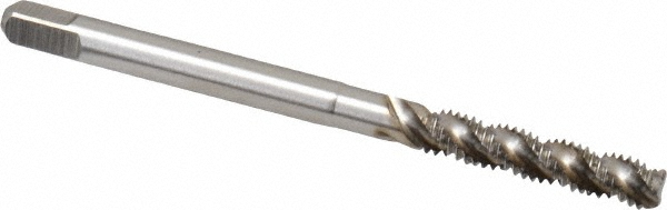 Main Thumb