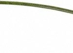 JERGENS 10" Long, Stainless Steel Cable Loop & Eye End, Quick Release Pin Lanyard 890310