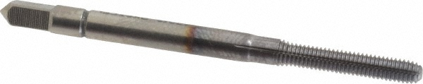 Main Thumb