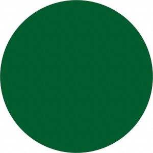 TAPE LOGIC Label Maker Label: Green, Paper, 3/4" OAL, 3/4" OAW DL610D