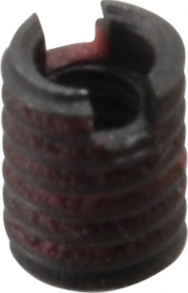 Main Thumb